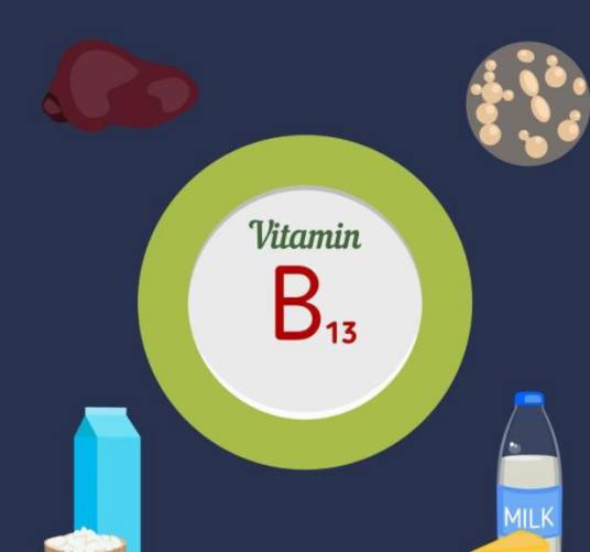 维生素B13
