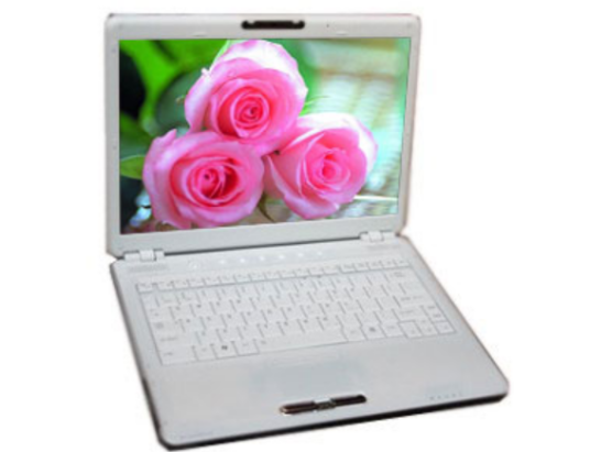 东芝M803