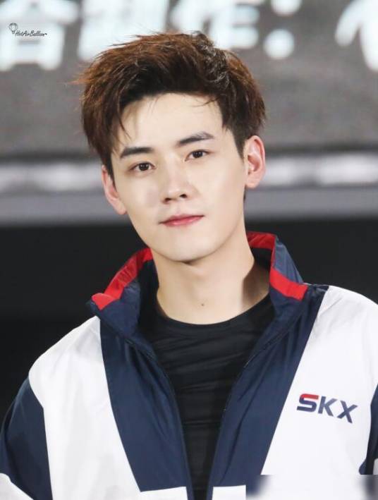 任豪（中国内地男歌手、演员）