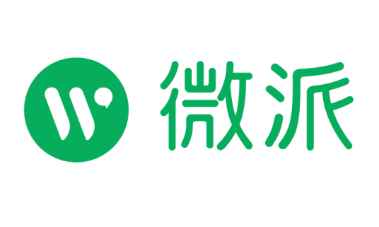 武汉微派网络科技有限公司