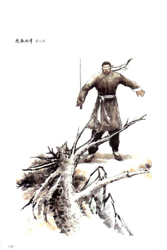 苗人凤（小说《雪山飞狐》和《飞狐外传》中人物）