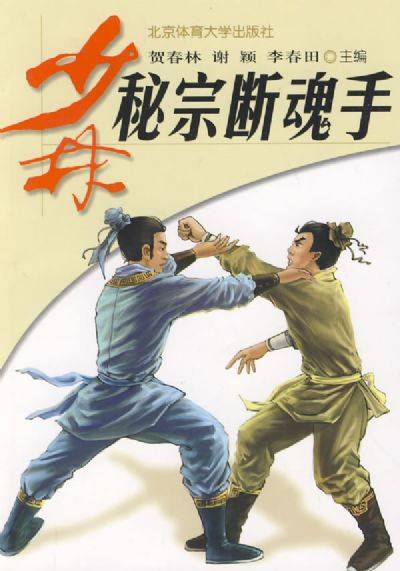 迷踪拳创始人