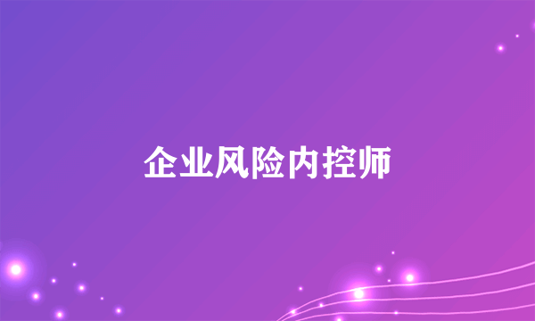 企业风险内控师