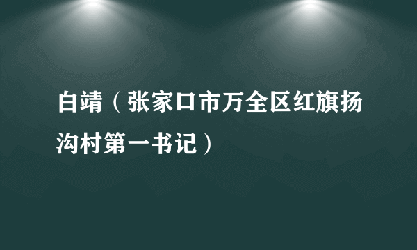 白靖（张家口市万全区红旗扬沟村第一书记）
