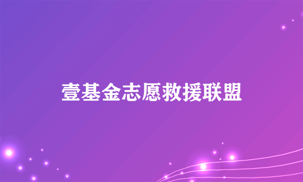 壹基金志愿救援联盟