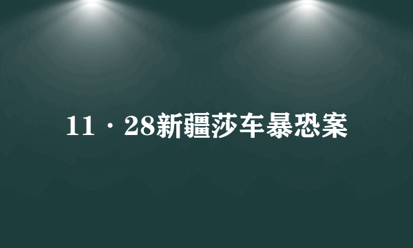 11·28新疆莎车暴恐案