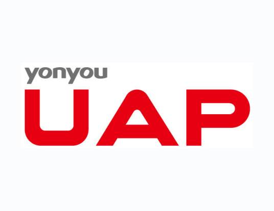 UAP（大中型企业与公共组织的统一应用平台）