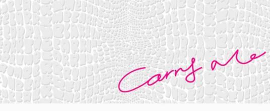 Carry me（萧亚轩潮牌）