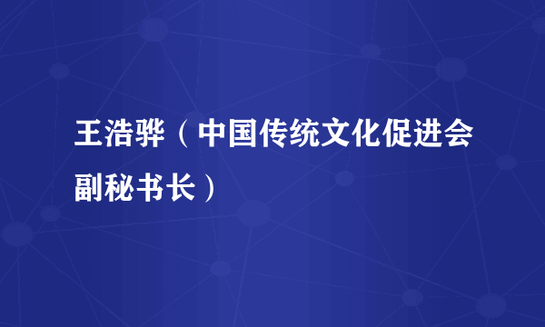 王浩骅（中国传统文化促进会副秘书长）