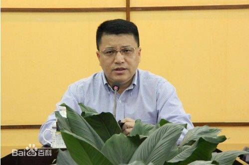 江伟（海南省公安厅原巡视员）