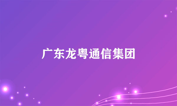 广东龙粤通信集团