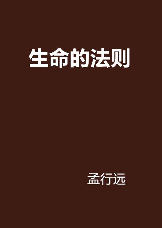 生命的法则（孟行远所著的小说）