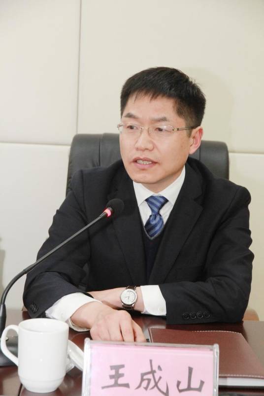 王成山（安徽省滁州市政协副主席）