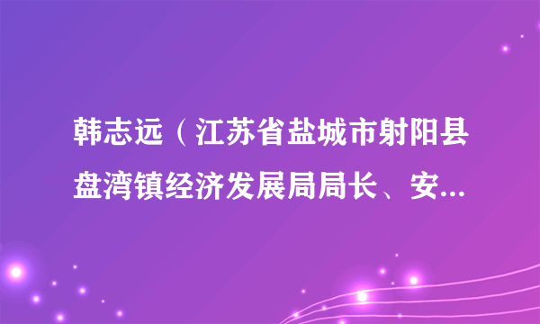韩志远（江苏省盐城市射阳县盘湾镇经济发展局局长、安石村党总支书记）