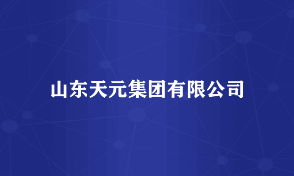 山东天元集团有限公司