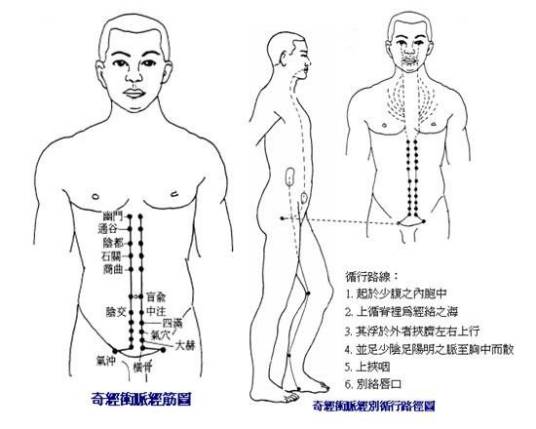 冲脉（奇经八脉之一）