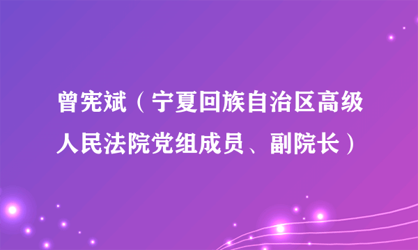 曾宪斌（宁夏回族自治区高级人民法院党组成员、副院长）