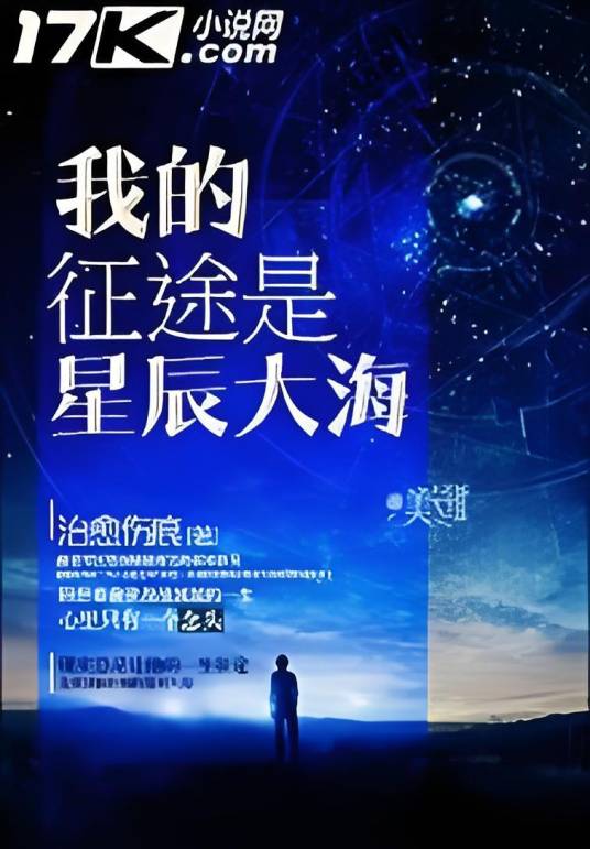 我的征途是星辰大海（治愈伤痕的都市重生类小说）