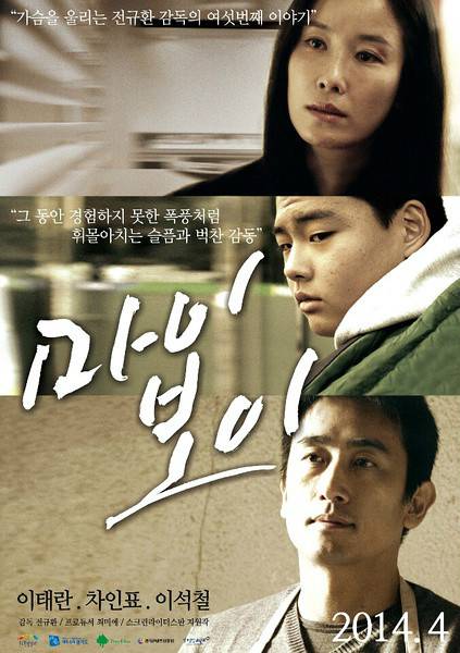 我的男孩（2014年韩国电影）