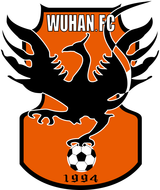 湖北武汉职业足球俱乐部