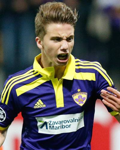 卢卡·扎霍维奇