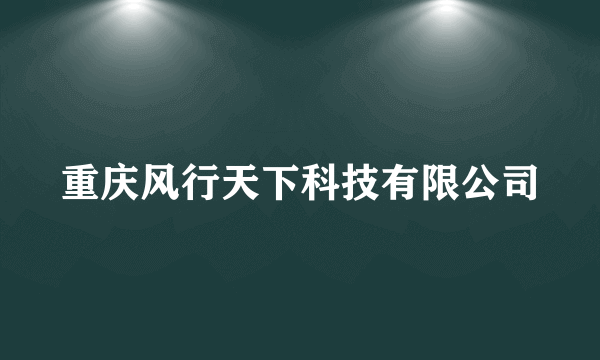 重庆风行天下科技有限公司