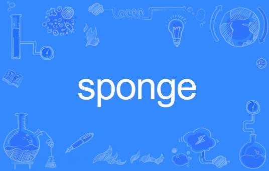 sponge