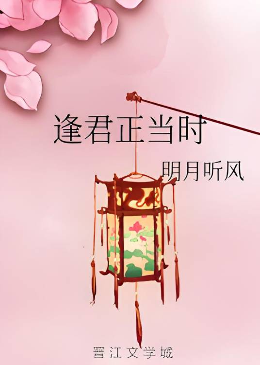 逢君正当时（明月听风创作的网络小说）
