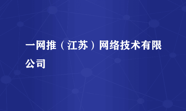 一网推（江苏）网络技术有限公司