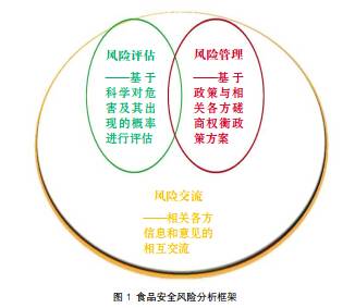 风险评估（食品科学）