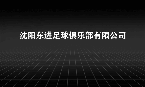 沈阳东进足球俱乐部有限公司