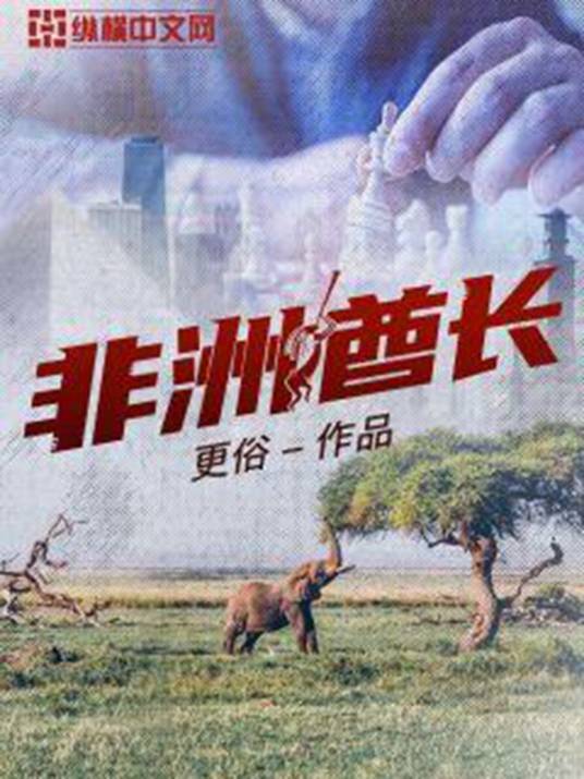 非洲酋长（更俗创作的商战类网络小说）