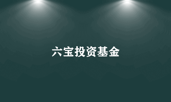 六宝投资基金