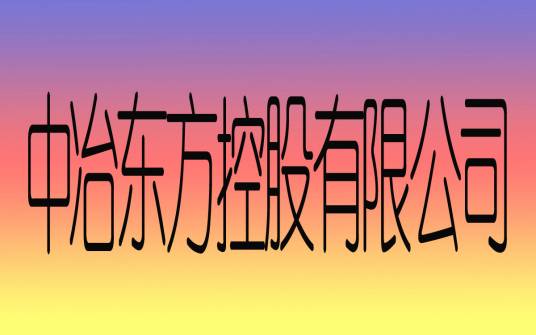 中冶东方控股有限公司