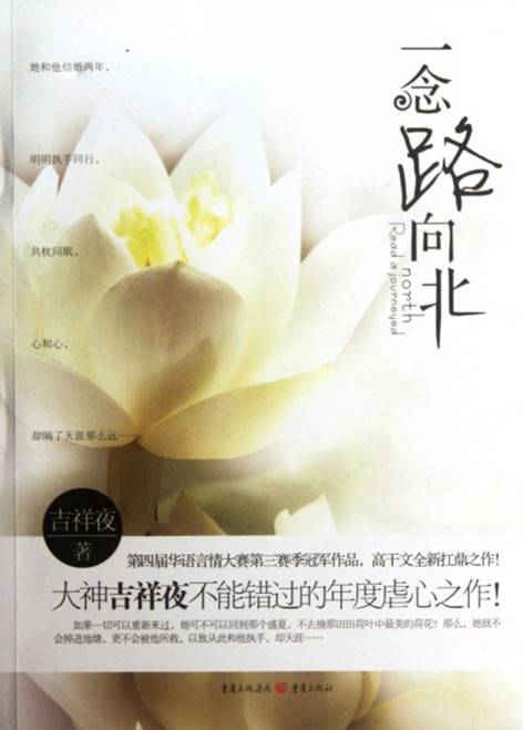 一念路向北（2012年重庆出版社出版的图书）
