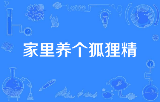 家里养个狐狸精（2016年新圣堂影业出品的电视剧）