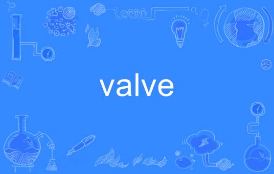 Valve（英语单词）