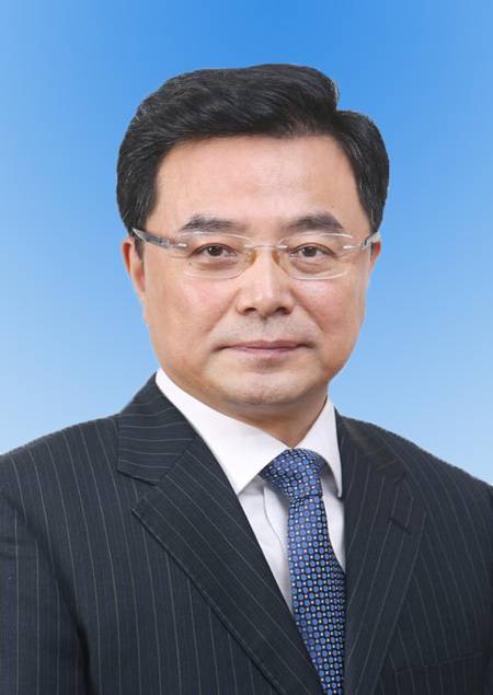 王少峰(第十四届全国政协社会和法制委员会副主任)