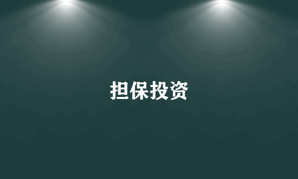 担保投资