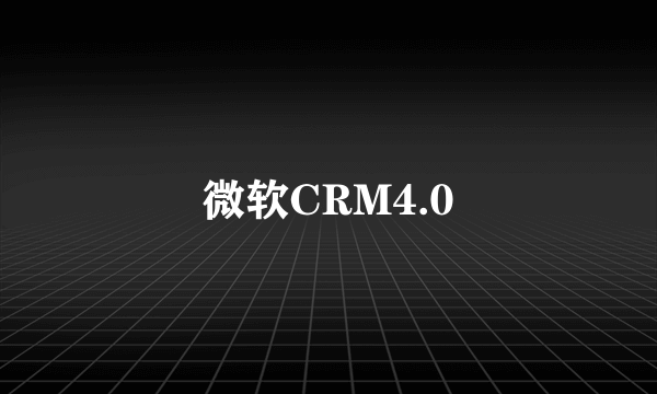 微软CRM4.0