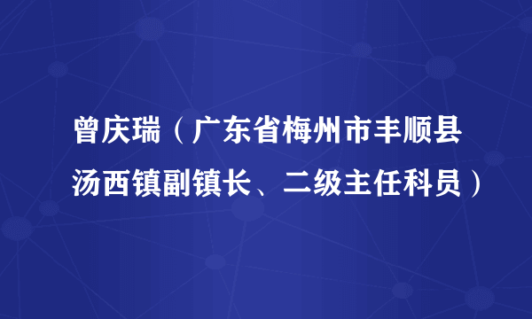 曾庆瑞（广东省梅州市丰顺县汤西镇副镇长、二级主任科员）