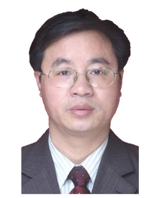 雷振华（南华大学经济管理学院教授）