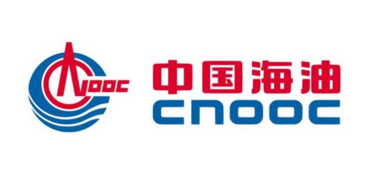 中海石油气电集团有限责任公司