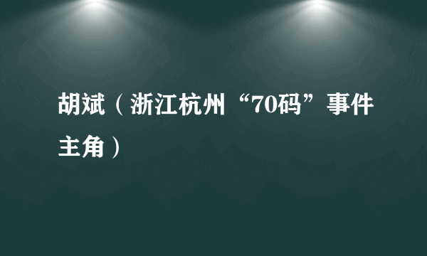 胡斌（浙江杭州“70码”事件主角）