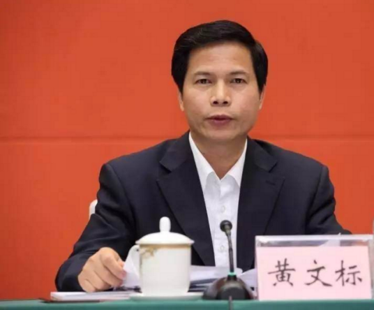 黄文标（广西壮族自治区政协人口资源环境委员会副主任）