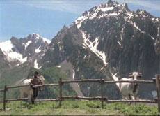 疑云（意大利电视剧）