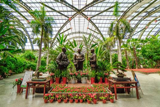 天津热带植物观光园
