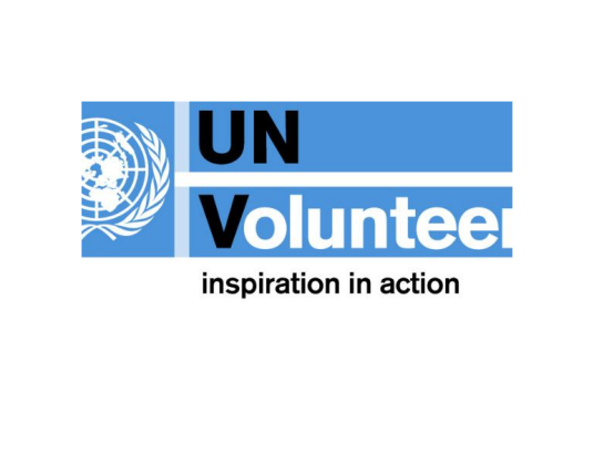 国际志愿者组织