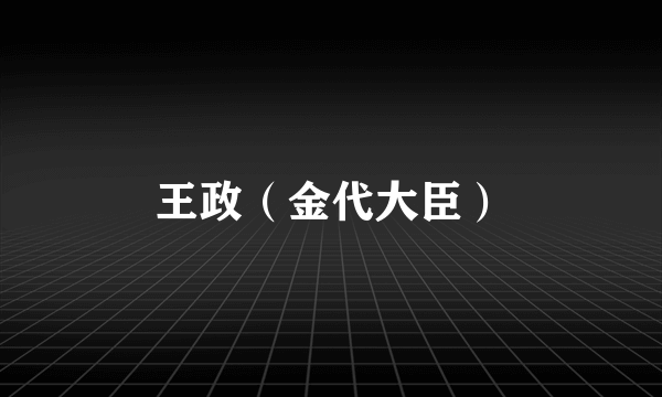 王政（金代大臣）