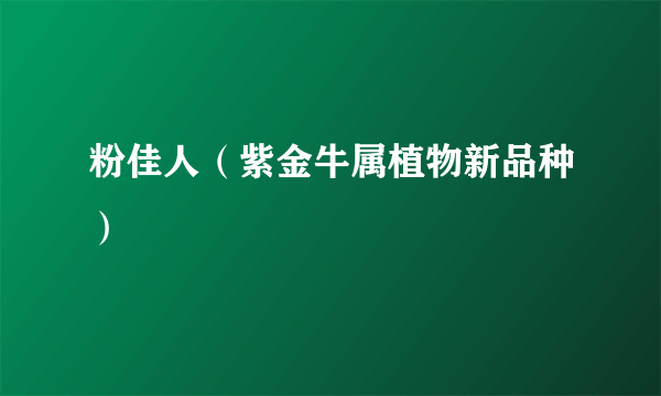 粉佳人（紫金牛属植物新品种）